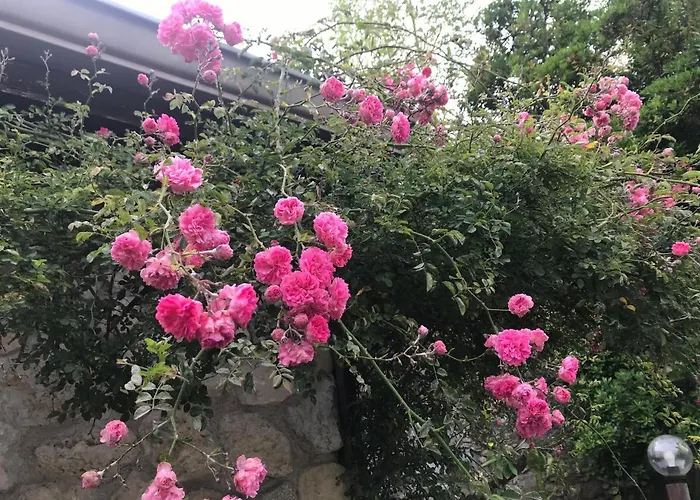 Paola 3* 玛里纳吉尔萨罗